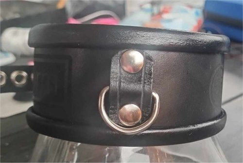 Miniatyrbild: Halsband Worm 55 / Collar Worm 55