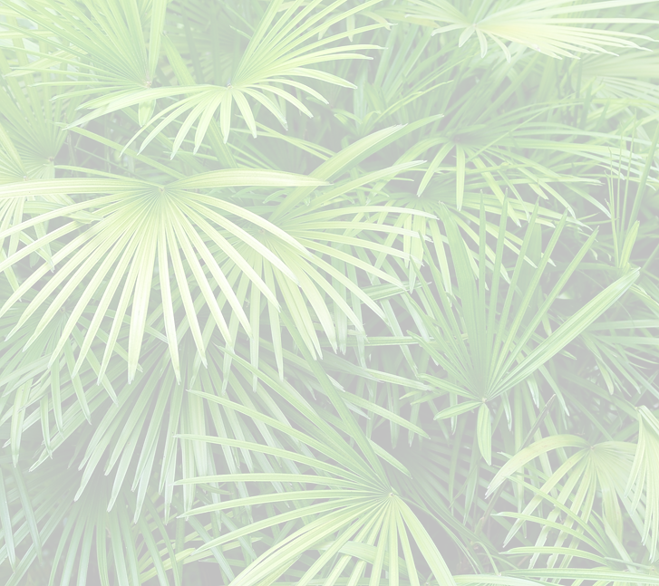 Luscious Palm Leaves_edited_edited.png