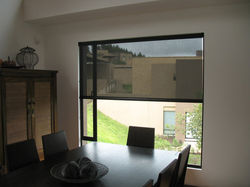 Enrrollable Negro 010