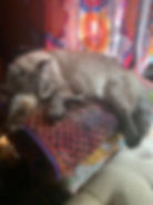 Dowager Queen Precious Pearl