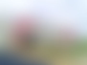 Hospital Shriners México atiende a niños de 0 a 18 años completamente gratis