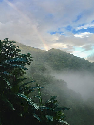 Montañas de Utuado con neblina y arcoíris