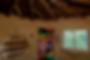 Screen Shot 2024-10-15 at 1.38.57 PM