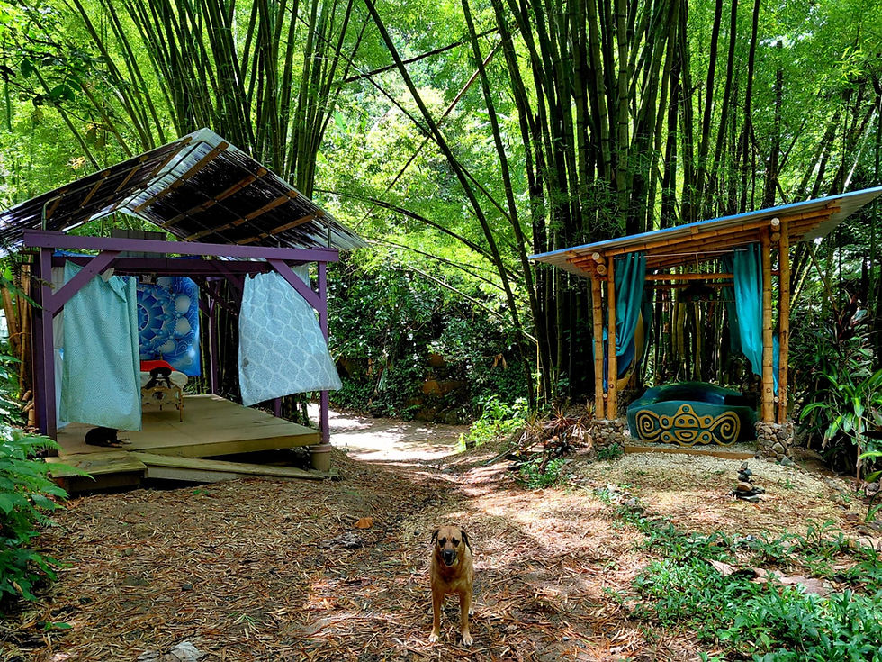 Masaje y Baรฑera Tierra