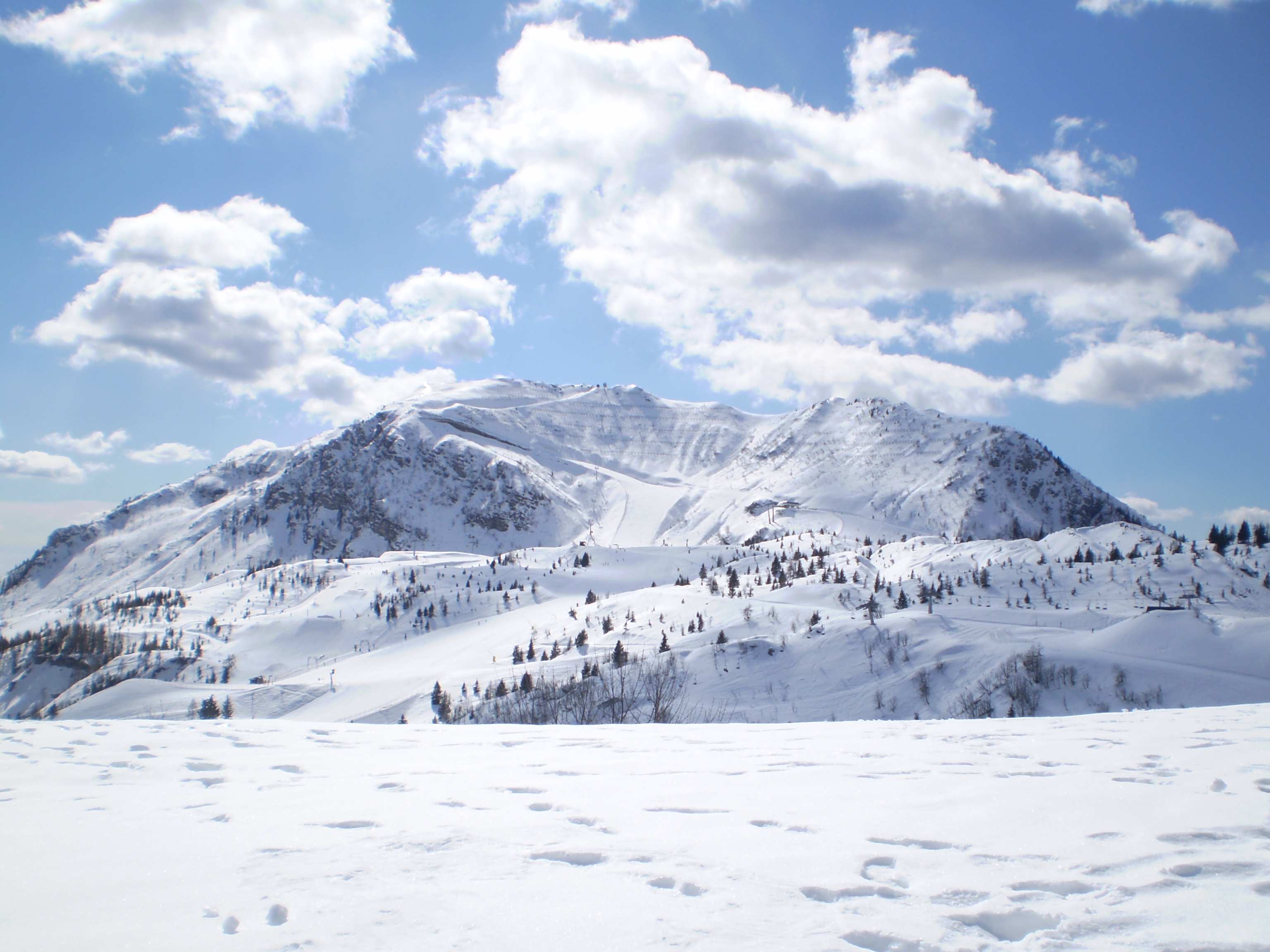 Karnische Alpen