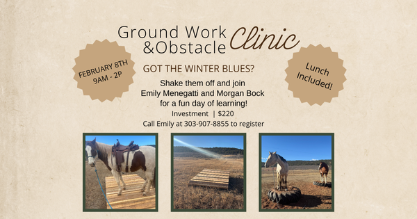 Ground Work and Obstacle Clinic