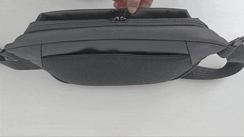 GR1009_Magnet1_opt100.gif