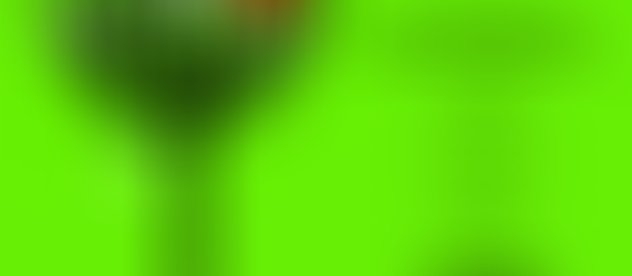 Concurso Nacional de Leitura | Fase Municipal - 02 de março