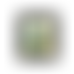 ✅ Bornova Kombi Servisi – Garantili Bakım, Onarım ve Montaj Hizmeti