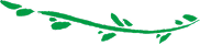 Clip path group.png