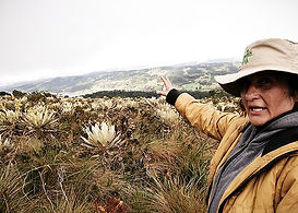 ecoturismo