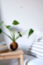 953DD153-EF0C-4D14-BCE9-3175D9EFE5E0-3543-000000C84239F496