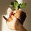 Miniaturbild: DIY SET inkl Pflanze