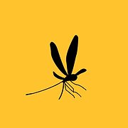 Julie Schilb les Idees Claires