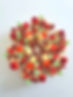 tarte-fruits-rouges-le-bar-a-tartes-bollwiller