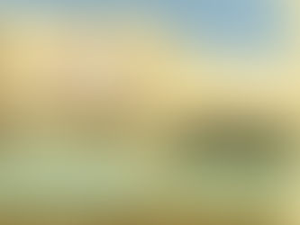 Mama's On The Hill - St. Louis