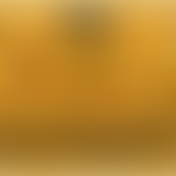 Bar Hemmingway - Paris