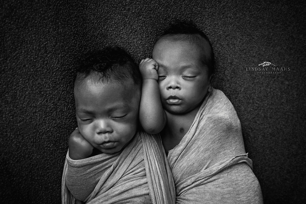 Ottawa Newborn Photographer Twins