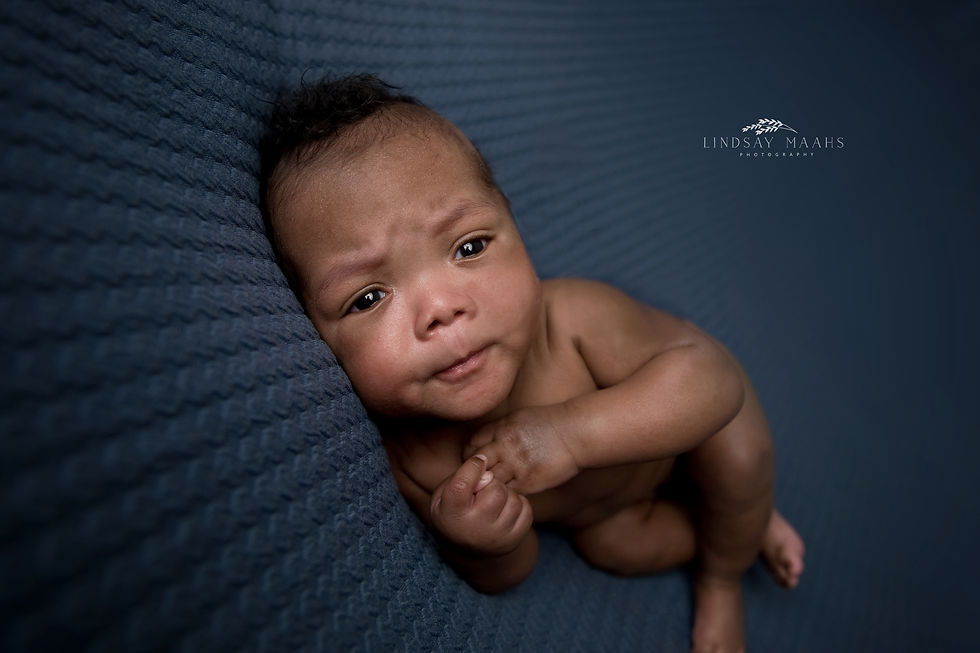 Ottawa Newborn Photographer Twins