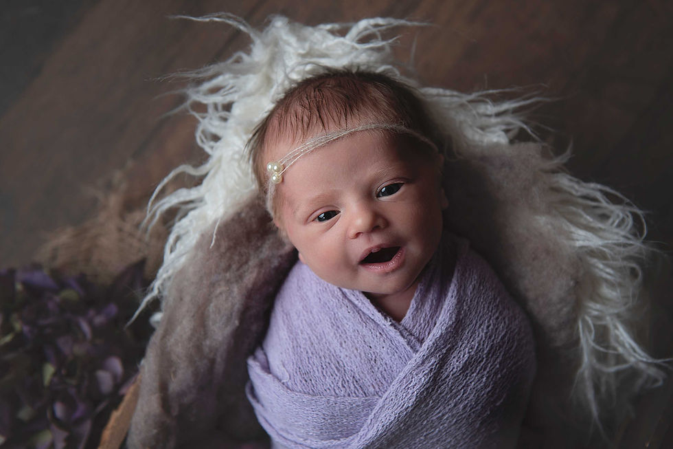 Newborn prop pose basket purple