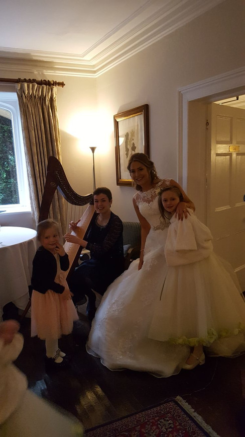 Bristol Harpist - Wedding reception Bath