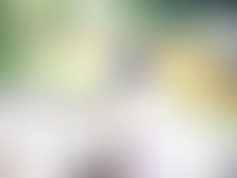 Conociendo Los Reartes - Pueblo Patrio