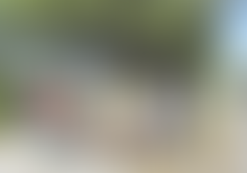 Mizara et la lombriculture