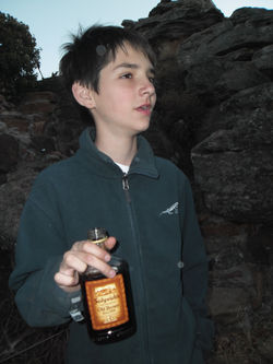 SAM_0151