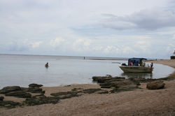 Pics 054