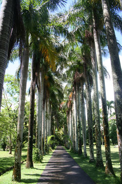 Pics 038