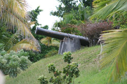 Le Canonnier 232