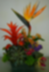 Screen Shot 2016-08-23 at 11.59.05 AM