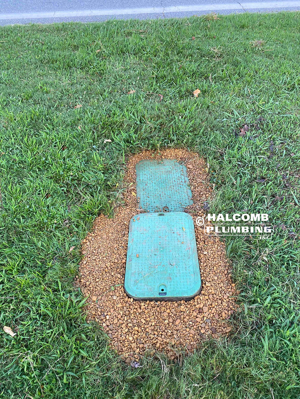 Halcomb backflow preventer and meter box
