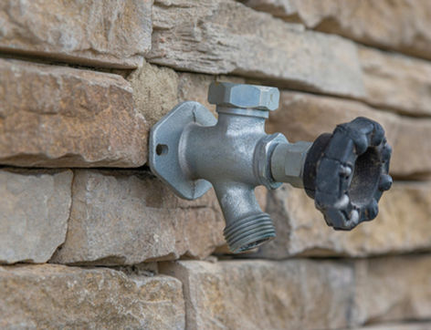 Spigot and hose bibs