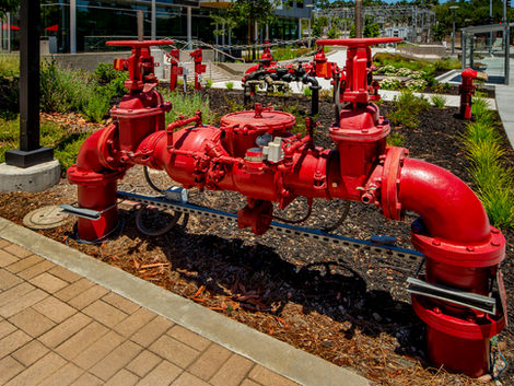 Large commercial backflow preventer