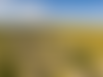 Ontsnap naar Ameland: Een Weekend vol Zon, Zee en Beachvolleybal!