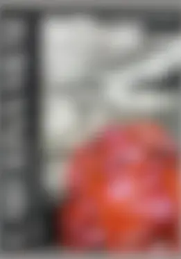 Teaser Cover V.II.png