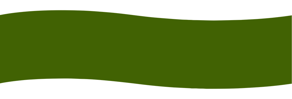 Untitled design - copy (5).png