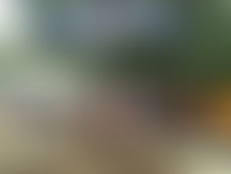 WEC Saint Flour 2009