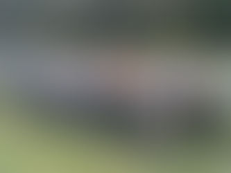 Coupe de France des régions 2024