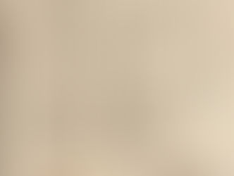 神戸新聞【ランチどこいこ?】掲載のお知らせ