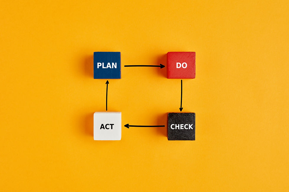 company structure and roles and res[ponsibilities