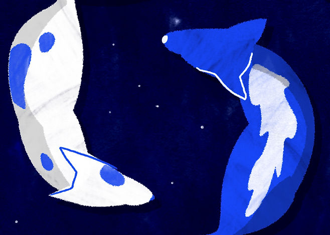 Dogs at Night
