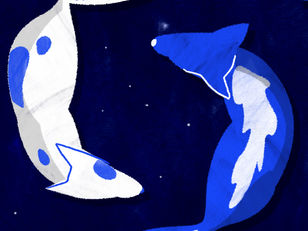Digitally drawn Yin and Yang style dogs with decorative white and blue fur, circling against a starry night sky