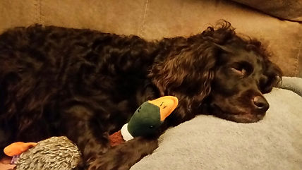 Sister-Girl dreaming of duck hunting