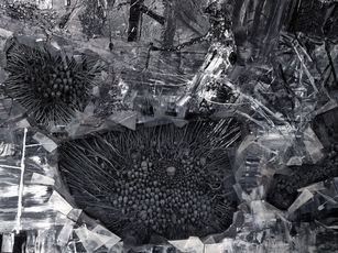 DMITRY KAWARGA - JM Art Management