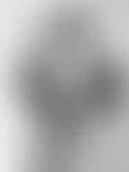 Nature and nudity photography by Lukas Dvorak - JM Art Management