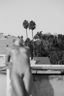 TwoPalms- Larsen Sotelo - JM Art Management