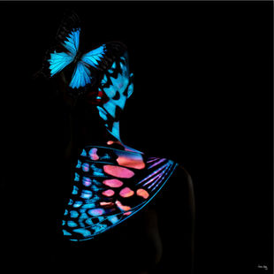 Giuliano Bekor-Butterfly Series B29-JM Art Management