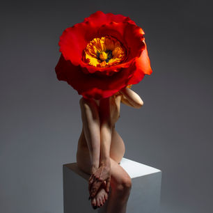 Aaron McPolin_photography_JM Art Management